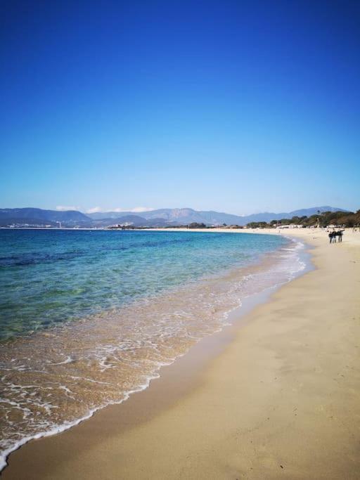 Porticcio : Magnifique T2 Piscine Vue Mer Grosseto-Prugna ภายนอก รูปภาพ